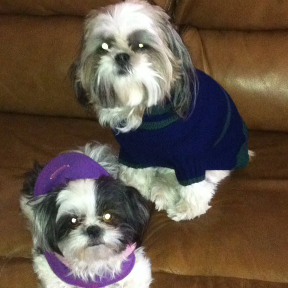 Profile Picture of Cheryl Best (@bestyf) on Poshmark