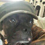 Profile Picture of Chad Monteith (@cmm1559) on Instagram