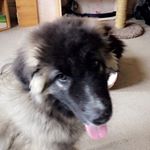 Profile Picture of Bradley Bocking (@bradleybocking) on Instagram