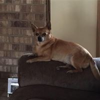 Profile Picture of Rick Schneider (@rick-schneider-21) on Quora