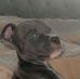 Profile Picture of Patrick Ormesher (@Patrick-Ormesher) on Facebook