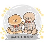 Profile Picture of minipom and toypoodle (@hazelandrocher) on Instagram