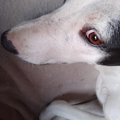 Profile Picture of Briana Mego (@BrianaMego) on Youtube