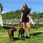 Profile Picture of Kellie Capoto Manfredi (@kelliemanfredi) on Instagram