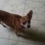 Profile Picture of Michael Vucinovich (@michael.vucinovich.52) on Facebook