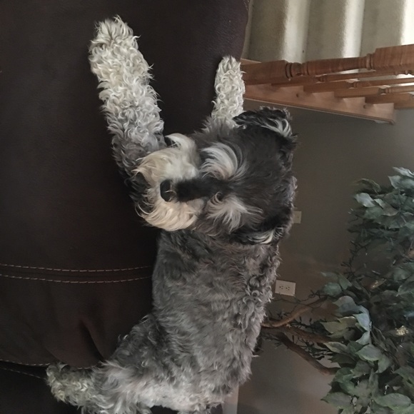 Profile Picture of Robert Gossman (@argon727) on Poshmark