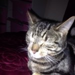 Profile Picture of Boaz Bryan (@boazbryan) on Instagram