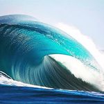 Profile Picture of Trevor Travis (@trevor_travis_surfing) on Instagram