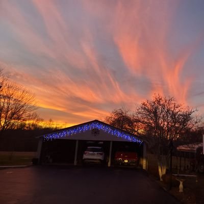 Profile Picture of Dan Tippson Twitter