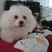 Profile Picture of Alberta Mcclure (Berta) (@alberta.mcclure.9) on Facebook