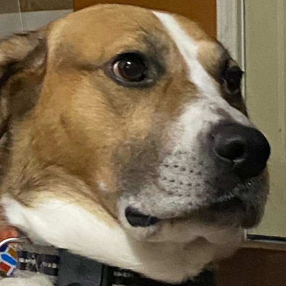 Profile Picture of Sally Nanson (@imawhore4gyros) on Poshmark