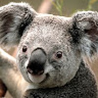 Profile Picture of Conor Fahey (@conor-fahey-7) on Quora