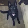 Profile Picture of Jeremy Benson (@jeremy.benson73) on Tiktok