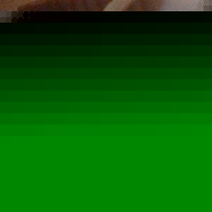 Profile Picture of Lilly Phillips (@direction4ever) on Myspace