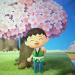 Profile Picture of Aaron Preston (@awesomeaarons) on Instagram