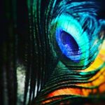 Profile Picture of Jyothi Lakshmi Iyengar (@jyothi.lakshmi.3975012) on Instagram