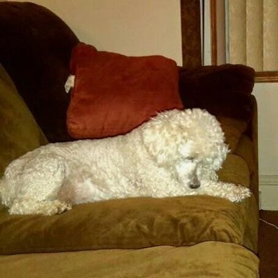 Profile Picture of Loretta Jackson (@lj_loretta) on Twitter