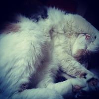 Profile Picture of Darryll Bennett (@darryll-bennett) on Quora