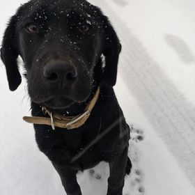 Profile Picture of Erin Carter Zach (@ez400) on Pinterest