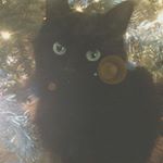 Profile Picture of Doris Perkins (@doris.perkins.509) on Instagram