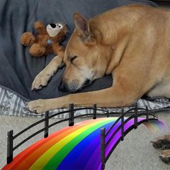 Profile Picture of randyhulse835 (@randyhulse835) on Tiktok