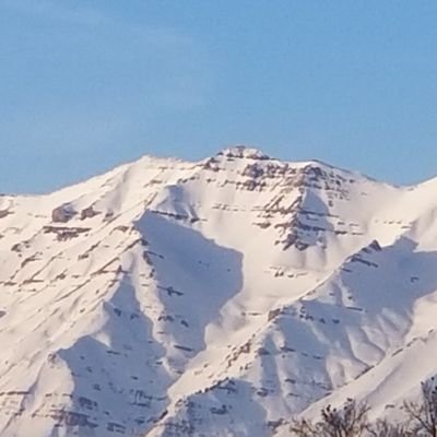 Profile Picture of Shawn Farrer (@Utahpeck79) on Twitter