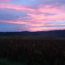 Profile Picture of Alexander Guadalupe Sánchez Pérez (@Alexand53868797) on Twitter