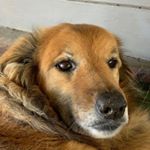 Profile Picture of Jacob Marvin (@jacobbmarvinn) on Instagram