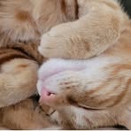 Profile Picture of Mariette Matthews (@Mariette-Matthews) on Facebook