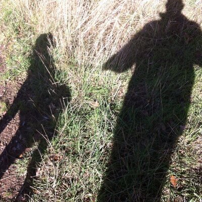 Profile Picture of Neil Kirby (@zingman) on Twitter