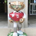 Profile Picture of Guy Weber (@goodguy53) on Instagram