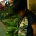 Profile Picture of Cliff Jester Jardiolin Nobleza (PoyPoy) (@cliffjester.j.nobleza) on Facebook