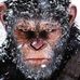 Profile Picture of Sizer Sizer (@Sizer-Sizer) on Facebook