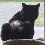 Profile Picture of Tina Fielder (@slideoveru) on Instagram