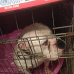 Profile Picture of Jessica Newton (@jessica121234) on Instagram