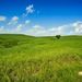 Greener Pastures - Pinterest Profile Picture of Greener Pastures (@brians8889) on Pinterest