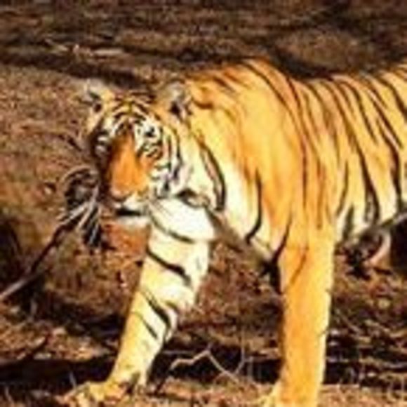 Profile Picture of Catherine Frank (@catherinefra640) on Poshmark