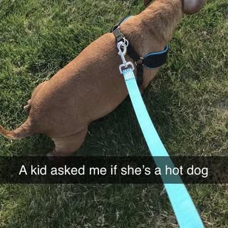 Profile Picture of who tf (@martinfaile) on Instagram