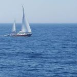 Profile Picture of jim gannon (@jimgannon00) on Instagram