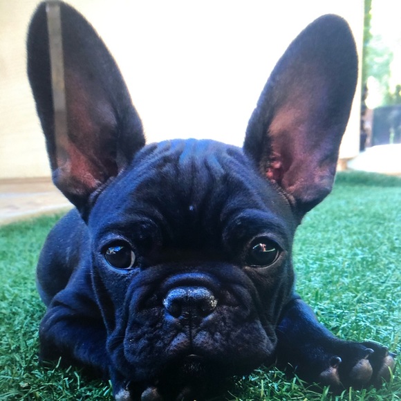 Profile Picture of D Marshall (@breeze5555) on Poshmark