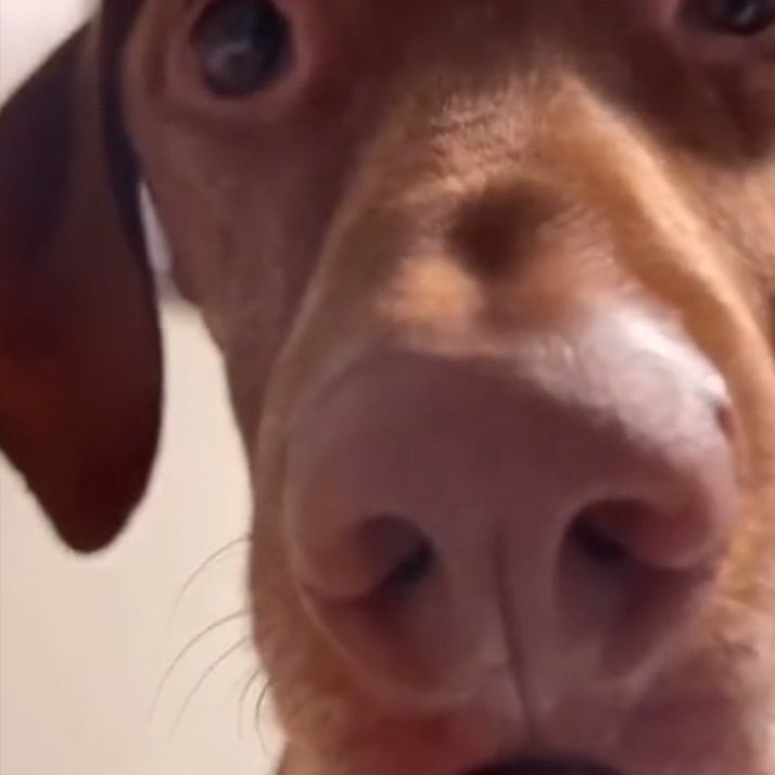 Profile Picture of john.med.en.diller (@john.med.en.diller) on Tiktok