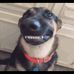 Profile Picture of Chris Mauldin (@chris.mauldin.9480) on Facebook