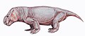 Profile Picture of Vivaxosauruson Wikipedia