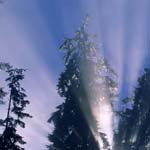 Profile Picture of BonnieWashington (@bonniewashingtonn) on Instagram