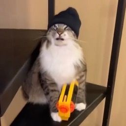 Profile Picture of Mark mcgowan (@midkey_ma_rk_softball) on Tiktok