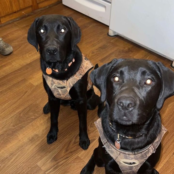 Profile Picture of Matthew Rollo (@matthewrollo7) on Tiktok