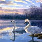 Profile Picture of Mesfin Desta (@desta.mesfin) on Instagram