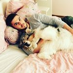 Profile Picture of Daniel Schmitt (@daniel_schmiddi) on Instagram