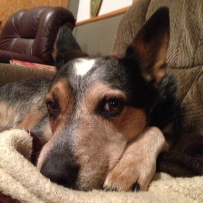 Profile Picture of Ivan Berg (@ivanjberg) on Twitter