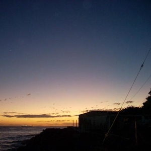 Anibal L Sosa - Myspace Profile Picture of Anibal L Sosa (@anibals) on Myspace